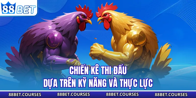 Chiến kê thi đấu dựa trên kỹ năng và thực lực