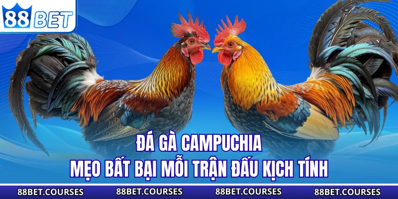 Đá Gà Campuchia - Mẹo Bất Bại Mỗi Trận Đấu Kịch Tính