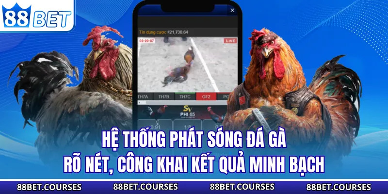 Hệ thống phát sóng đá gà rõ nét, công khai kết quả minh bạch