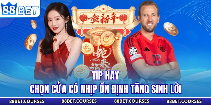 Tip hay chọn cửa có nhịp ổn định tăng sinh lời